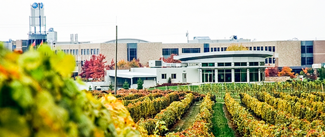 Niagara College Canadian University Dubai