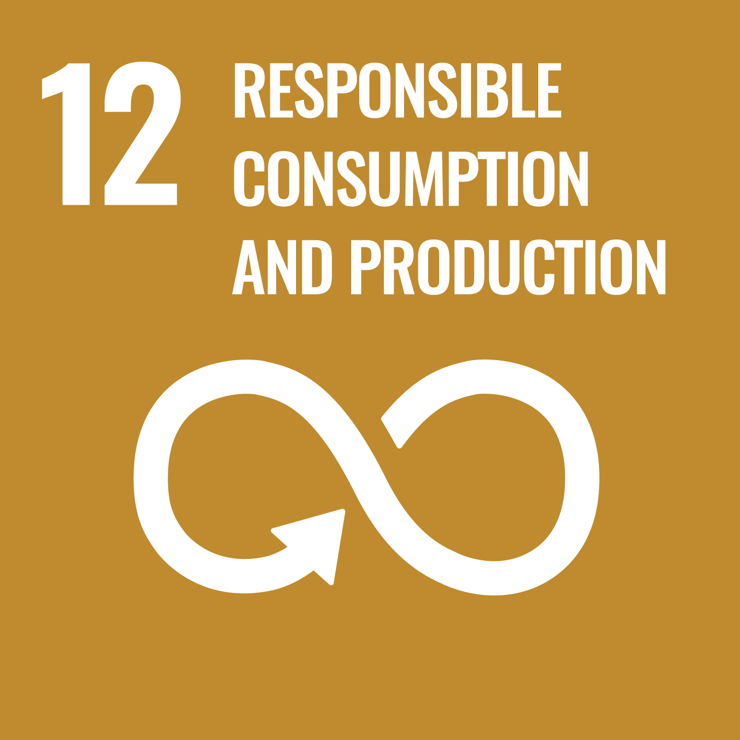SDG 12: Ensure sustainable consumption and production patterns (United Nations Sustainable Development Goal 12 icon)