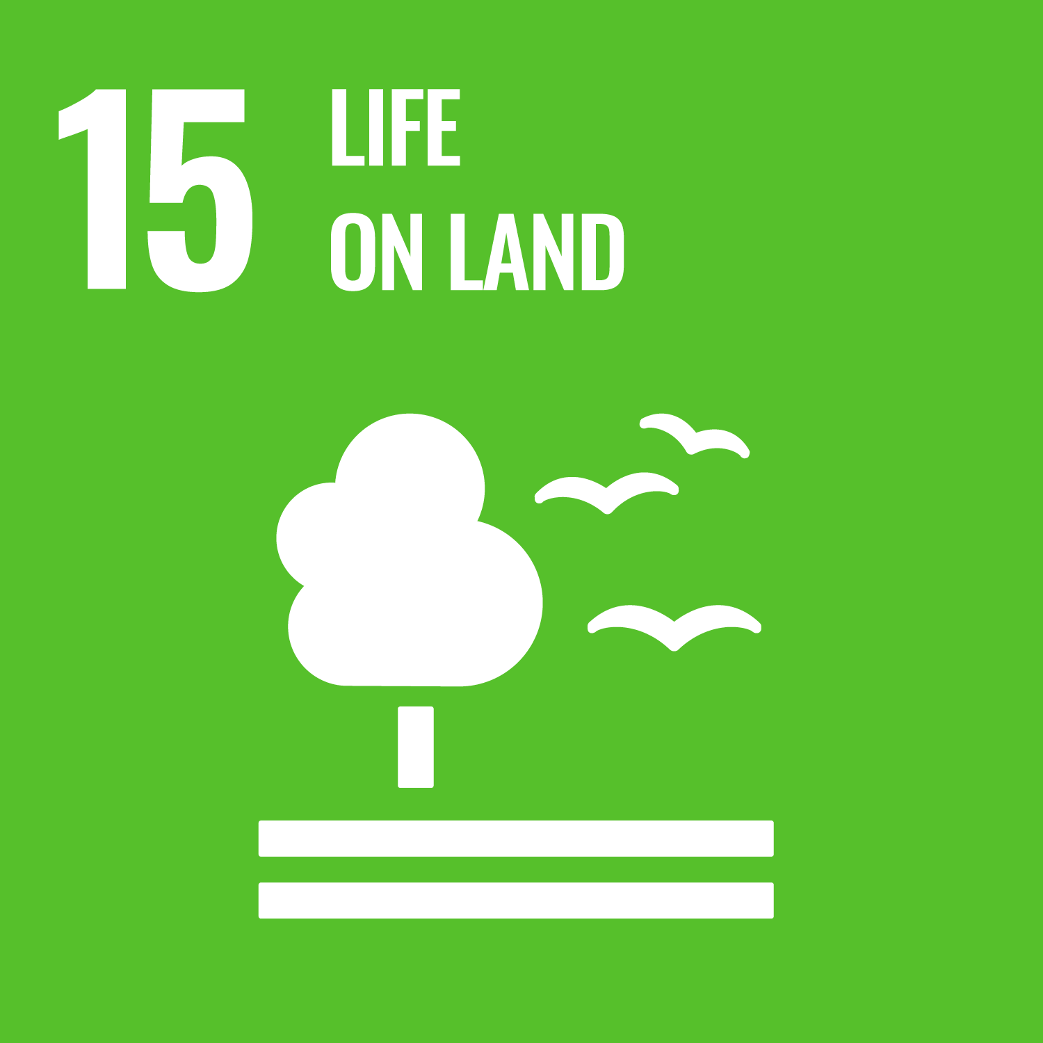 SDG 15: Protect, restore and promote sustainable use of terrestrial ecosystems, sustainably manage forests, combat desertification, and halt and reverse land degradation and halt biodiversity loss (United Nations Sustainable Development Goal 15 icon)