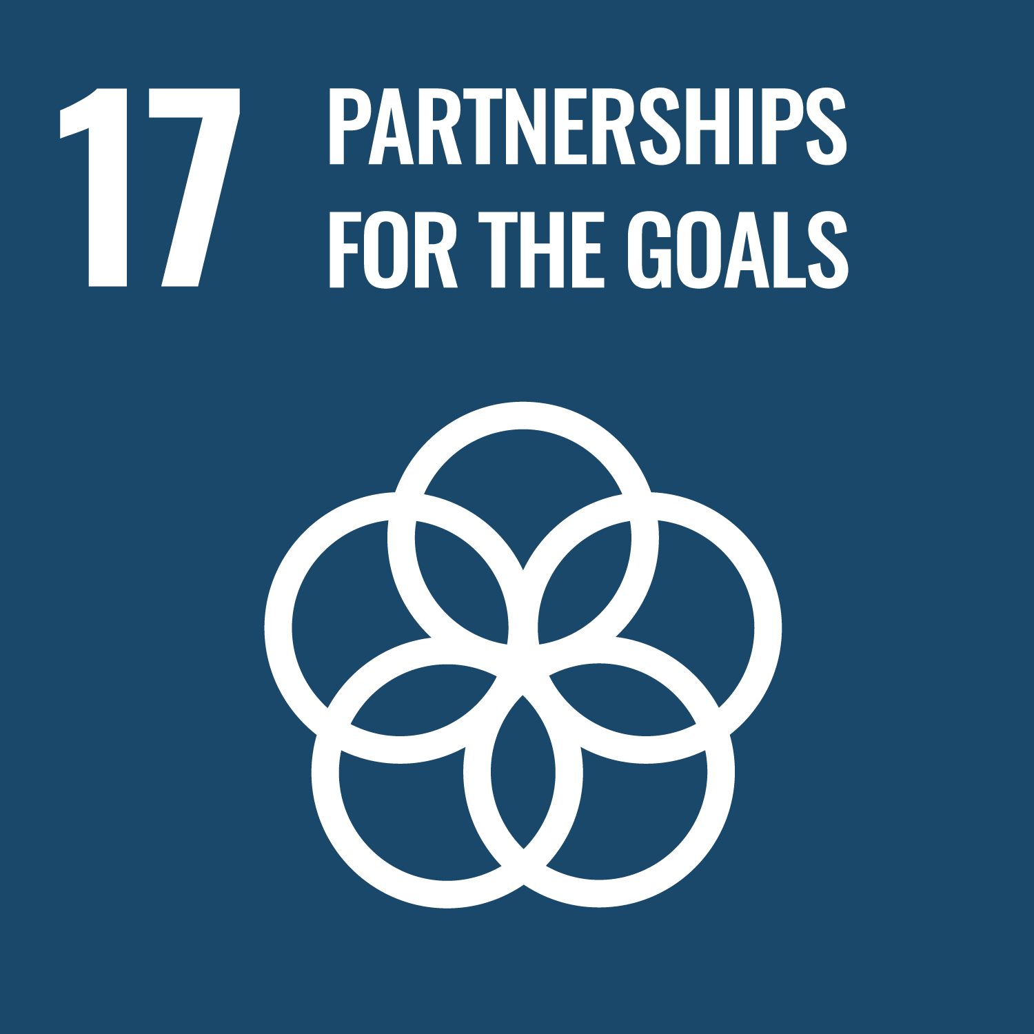 SDG 17: Strengthen the means of implementation and revitalize the global partnership for sustainable development (United Nations Sustainable Development Goal 17 icon)