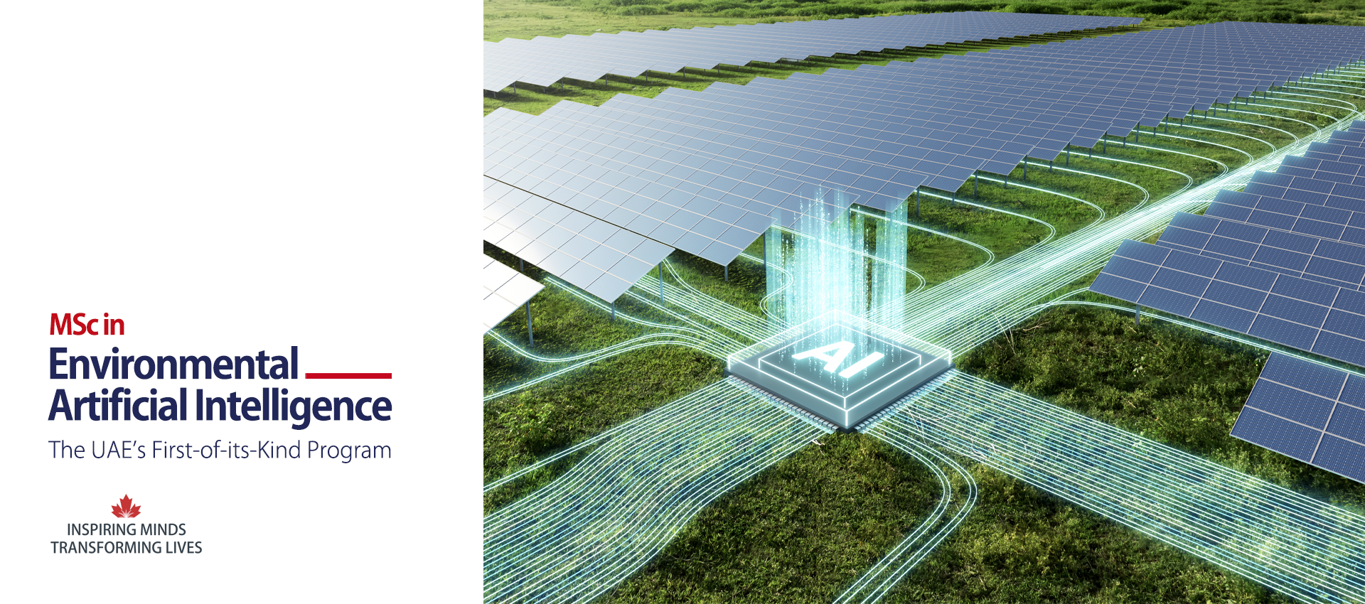 Master of Science in Environmental Artificial Intelligence