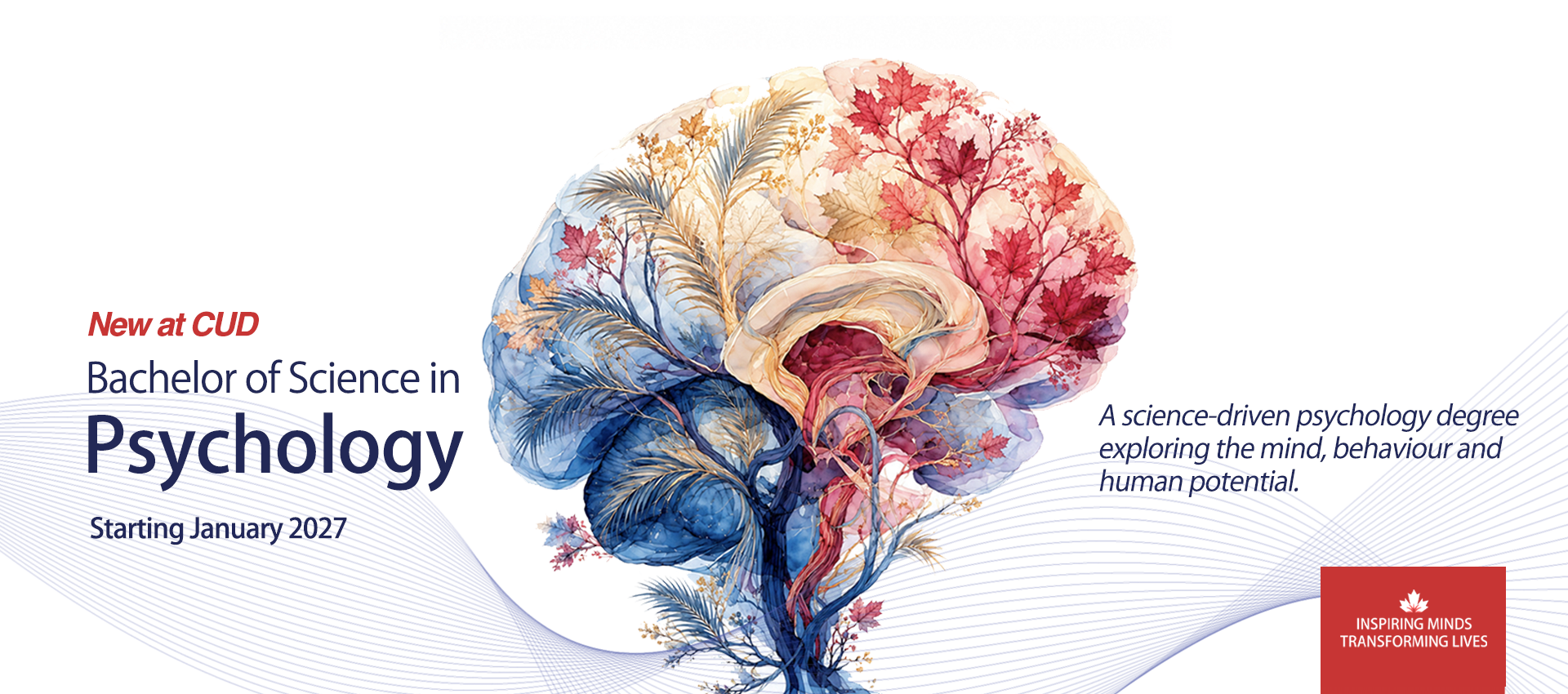 Bachelor of Science in Psychology