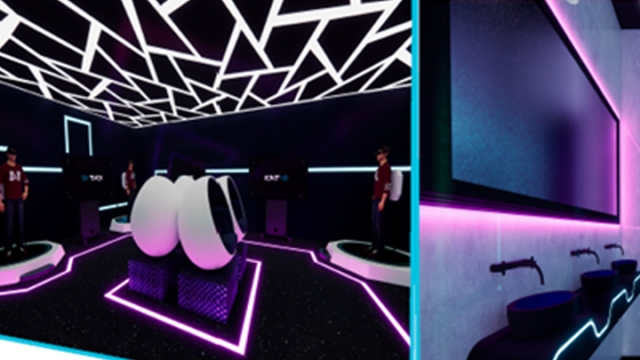 IVR (Immersive Virtual Reality)