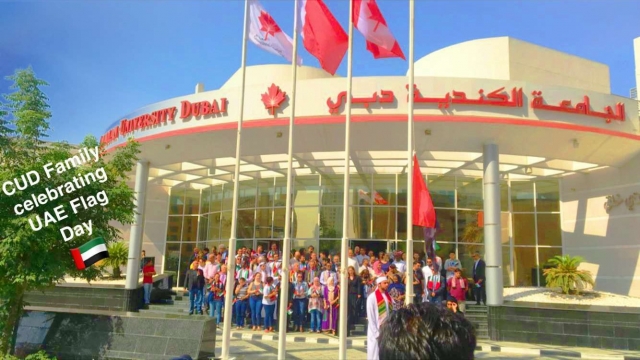 U.A.E Flag Day 2017