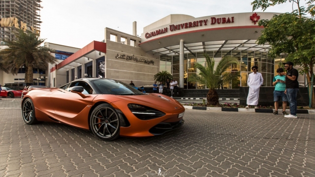 Gulf Car Festival