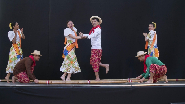International Cultural Day