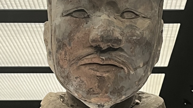 Canadian University Dubai Hosts UAE's First Virtual Guided Tour of the Terracotta Army Museum 