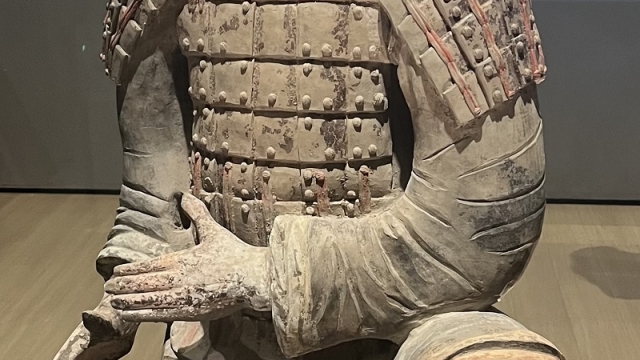 Canadian University Dubai Hosts UAE's First Virtual Guided Tour of the Terracotta Army Museum 